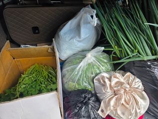오케바리(옥경종)님의 파 · 영농일지 작성글 사진