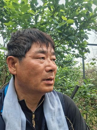황인근님의 블루베리 · 영농일지 작성글 사진
