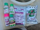 팜모닝 배추·영농일지 게시글 이미지
