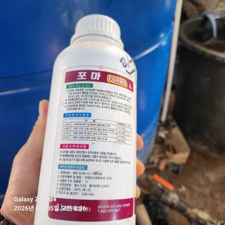 김성훈님의 기타작물 · 영농일지 작성글 사진