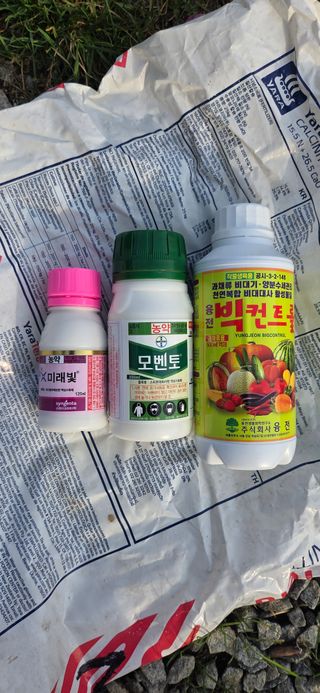 시나노골드님의 사과 · 영농일지 작성글 사진