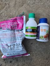 팜모닝 기타작물·영농일지 게시글 이미지