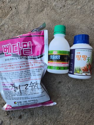 김진수님의 기타작물 · 영농일지 작성글 사진