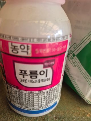 이시형님의 고추 · 영농일지 작성글 사진