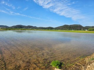 오영관님의 감자 · 영농일지 작성글 사진