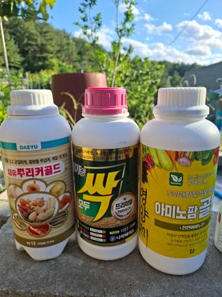 주재필님의 양파 · 영농일지 작성글 사진