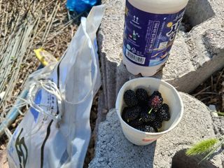 영수농원님의 기타작물 · 영농일지 작성글 사진