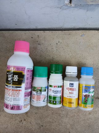 조성민님의 파 · 영농일지 작성글 사진