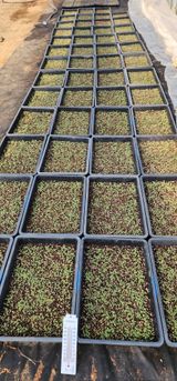 김제일님의 작성글 사진