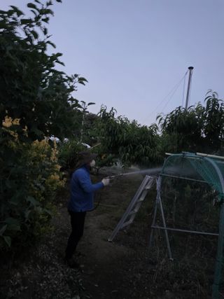 백운농원 님의 기타작물 · 영농일지 작성글 사진
