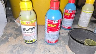 백보승님의 작성글 사진