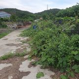 시민농장님의 작성글 사진
