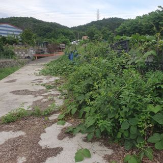 시민농장님의 기타작물 · 영농일지 작성글 사진
