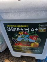 김영옥님의 작성글 사진