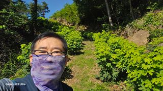 염봉섭님의 기타작물 · 영농일지 작성글 사진