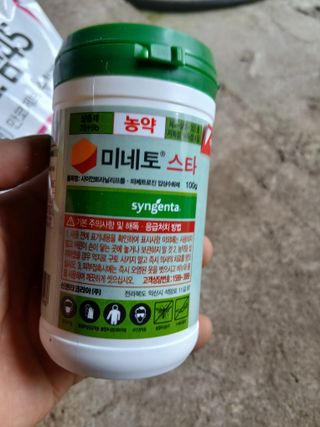 라이온3241님의 귤 · 영농일지 작성글 사진