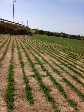 최유순님의 기타작물 · 영농일지 작성글 사진