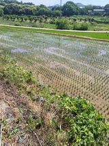 최병우님의 작성글 사진