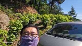 염봉섭님의 작성글 사진