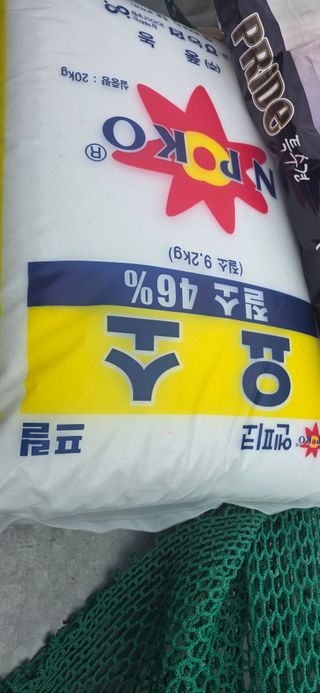 경주농장님의 오이 · 영농일지 작성글 사진