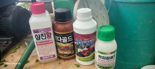 서대산향수님의 포도 · 영농일지 작성글 사진