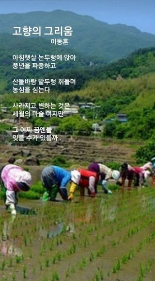 미성농장님의 포도 · 영농일지 작성글 사진