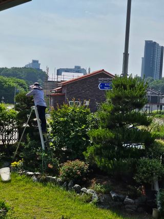 상추22033님의 기타작물 · 영농일지 작성글 사진