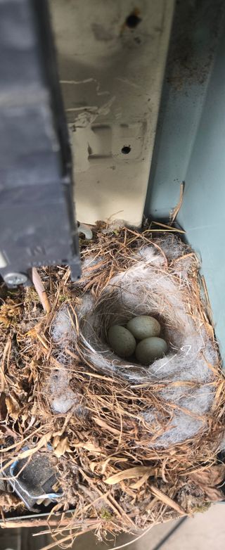 가라골님의 기타작물 · 영농일지 작성글 사진