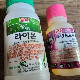 대추왕님의 기타작물 · 영농일지 작성글 사진