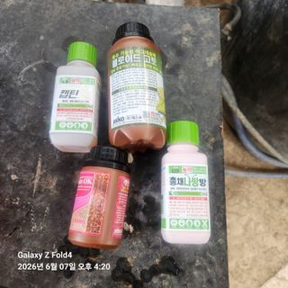 김성훈님의 기타작물 · 영농일지 작성글 사진