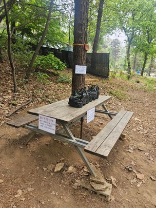 새늘농원님의 감자 · 영농일지 작성글 사진