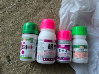 思農(sanong)님의 고추 · 영농일지 작성글 사진