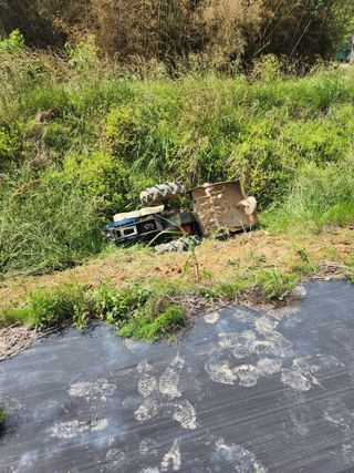 김진영님님의 마늘 · 영농일지 작성글 사진