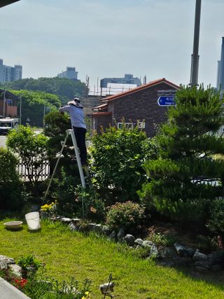 상추22033님의 기타작물 · 영농일지 작성글 사진