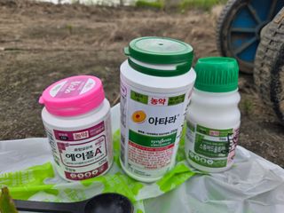 정영석님의 파 · 영농일지 작성글 사진