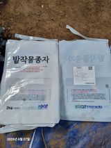 팜모닝 콩·영농일지 게시글 이미지