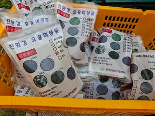황인근님의 블루베리 · 영농일지 작성글 사진