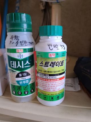 백영호님의 참깨 · 영농일지 작성글 사진