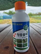 팜모닝 블루베리·영농일지 게시글 이미지