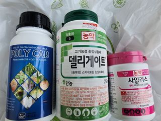 대추왕님의 기타작물 · 영농일지 작성글 사진