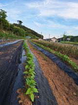 정도영님의 작성글 사진