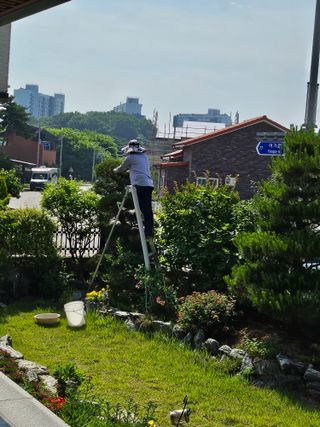 상추22033님의 기타작물 · 영농일지 작성글 사진