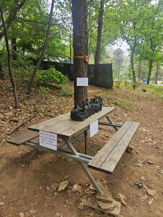 새늘농원님의 감자 · 영농일지 작성글 사진
