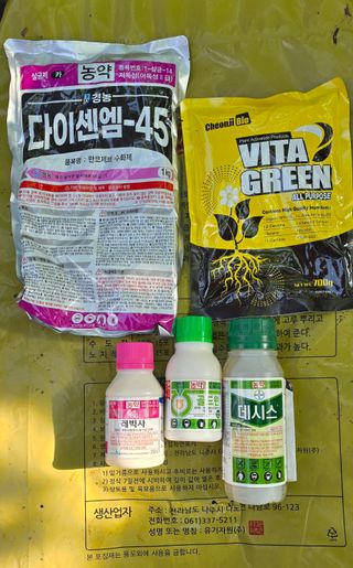 고인석님의 포도 · 영농일지 작성글 사진