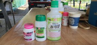 박상중님의 작성글 사진
