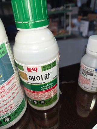 임광순님의 파 · 영농일지 작성글 사진