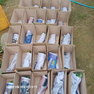 삼성농산님의 파 · 영농일지 작성글 사진