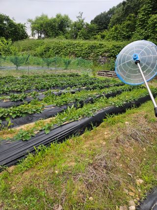 권상탁님의 기타작물 · 영농일지 작성글 사진
