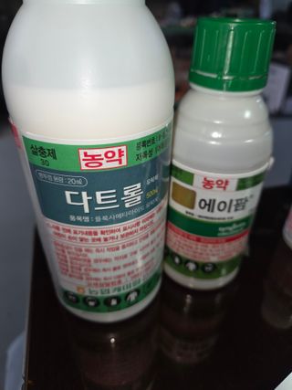 임광순님의 파 · 영농일지 작성글 사진