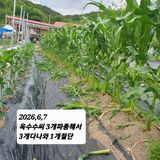 시민농장님의 작성글 사진